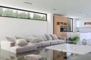 water damage restoration santa rosa