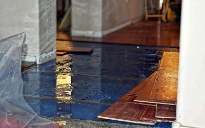How to Handle Water Damage
