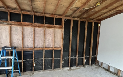 From Detection to Remediation: Our Comprehensive Mold Cleanup Process in Santa Rosa Explained