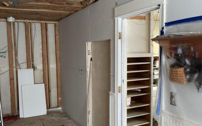 From Inspection to Restoration: A Comprehensive Guide to Mold Removal Services Near Me in Bolinas, CA