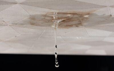 What to Do If Your Home Has Water Damage: A Real Talk Guide from BRC