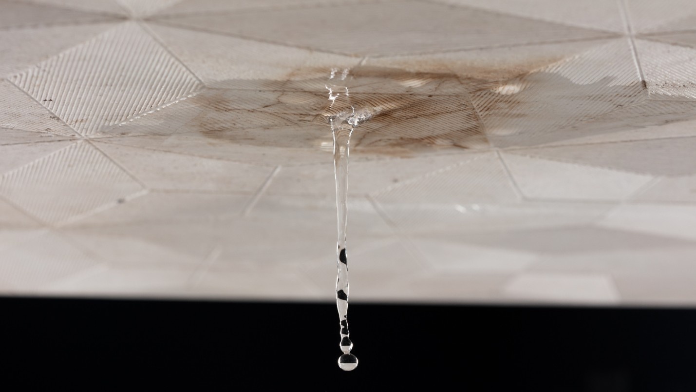 A water-damaged ceiling tile that is dripping water.