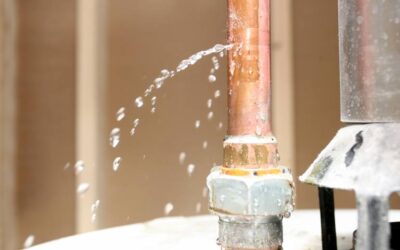 Water Damage Insurance FAQ: What Santa Rosa Homeowners Should Know