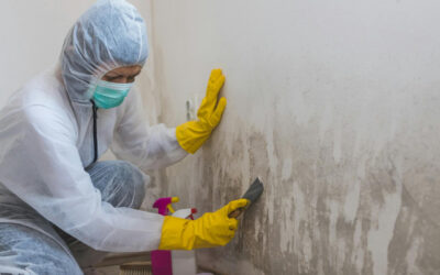Selling a Home in Sonoma County? Here’s Your Mold Disclosure Checklist