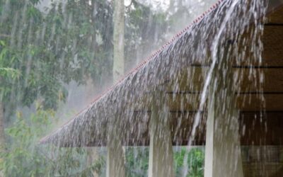 Can Heavy Rain Cause Mold on My Property? Tips for Business Owners
