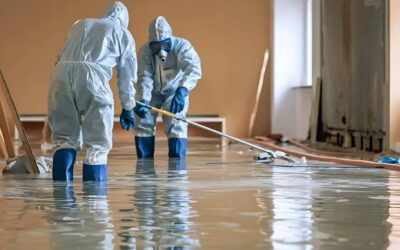 Does Your Business Need Emergency Water Damage Restoration?