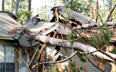 What to Do When a Storm Damages Your Roof? Step-By-Step