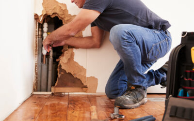 Repair vs. Restoration: What’s the Difference?